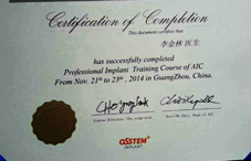 æŽé‡‘æž—